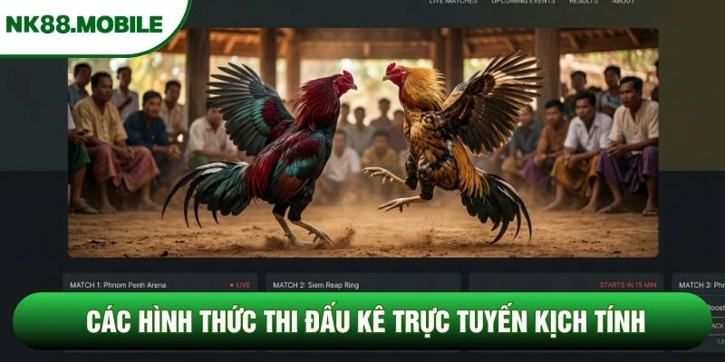 Các hình thức thi đấu kê trực tuyến kịch tính