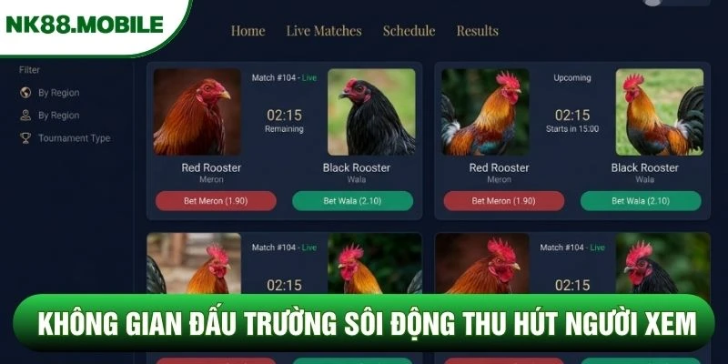 Không gian đấu trường sôi động thu hút người xem