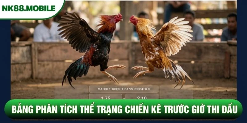 Bảng phân tích thể trạng chiến kê trước giờ thi đấu Bảng phân tích thể trạng chiến kê trước giờ thi đấu