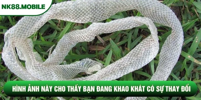 Hình ảnh này cho thấy bạn đang khao khát có sự thay đổi Hình ảnh này cho thấy bạn đang khao khát có sự thay đổi